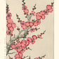 reproduction estampe japonaise branche de prunier en fleurs rose et rouge au printemps