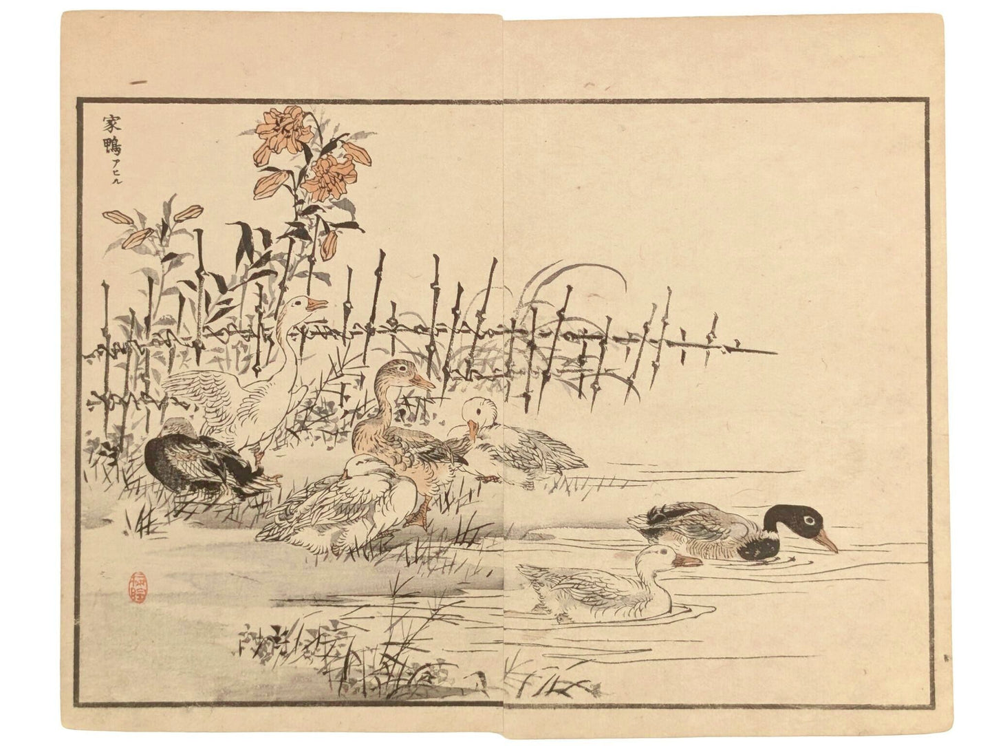 Estampe japonaise de Kōno Bairei représentant un groupe de canards au bord d’un étang, avec des lys orangé et une clôture en bambou, style naturaliste de l’ère Meiji.