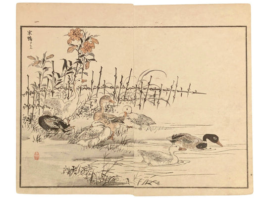 Estampe japonaise de Kōno Bairei représentant un groupe de canards au bord d’un étang, avec des lys orangé et une clôture en bambou, style naturaliste de l’ère Meiji.
