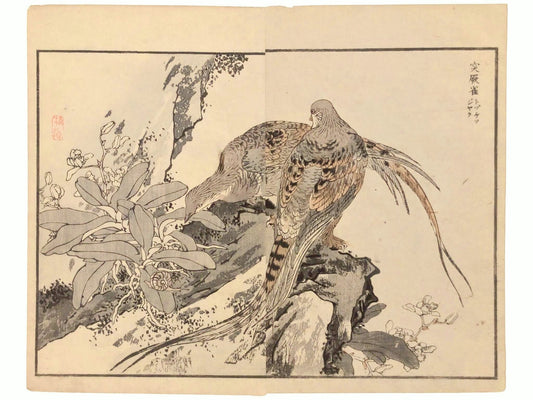 Estampe japonaise de Kōno Bairei montrant deux faisanes sur un rocher avec végétation, et un escargot dans un style naturaliste de l’époque Meiji.