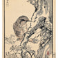 Estampe japonaise d’un torcol fourmilier de Kono Bairei extrait de l’album Hyakuchō Gafu