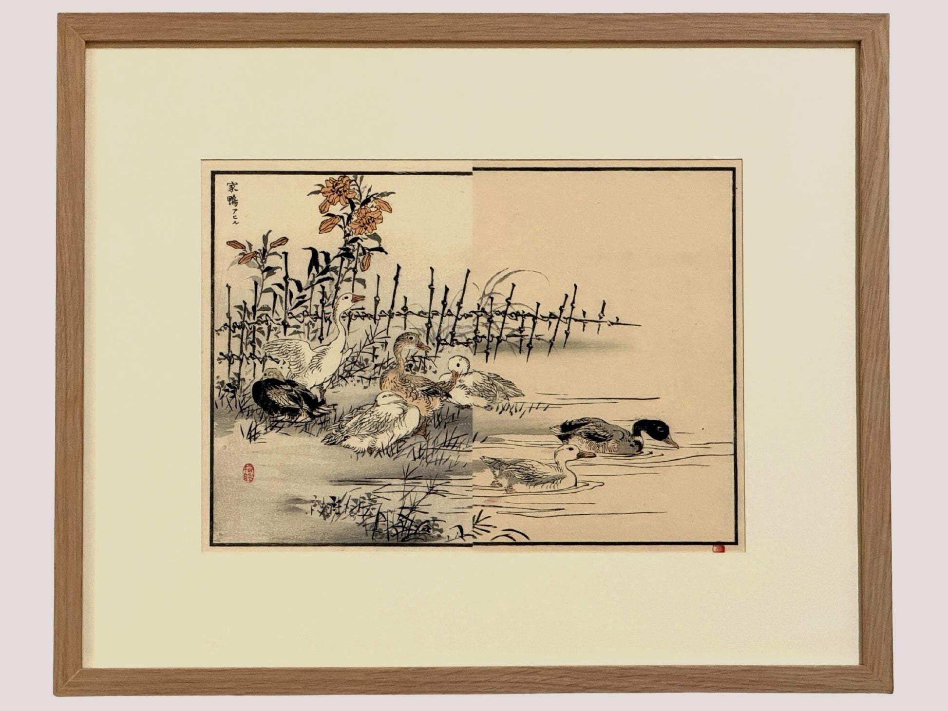 estampe japonaise encadrée de Kono Bairei, canards et oies au bord d'une mare. Avec cadre en chêne naturel