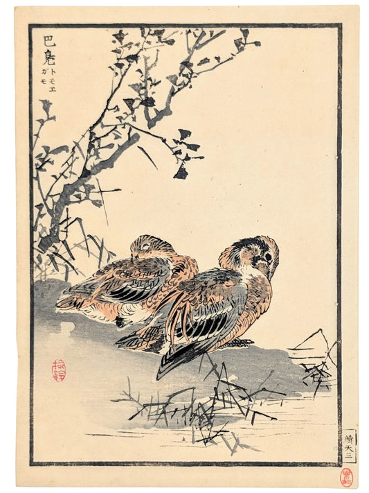 Estampe japonaise de deux canards sarcelles endormis sur une berge, par Kōno Bairei