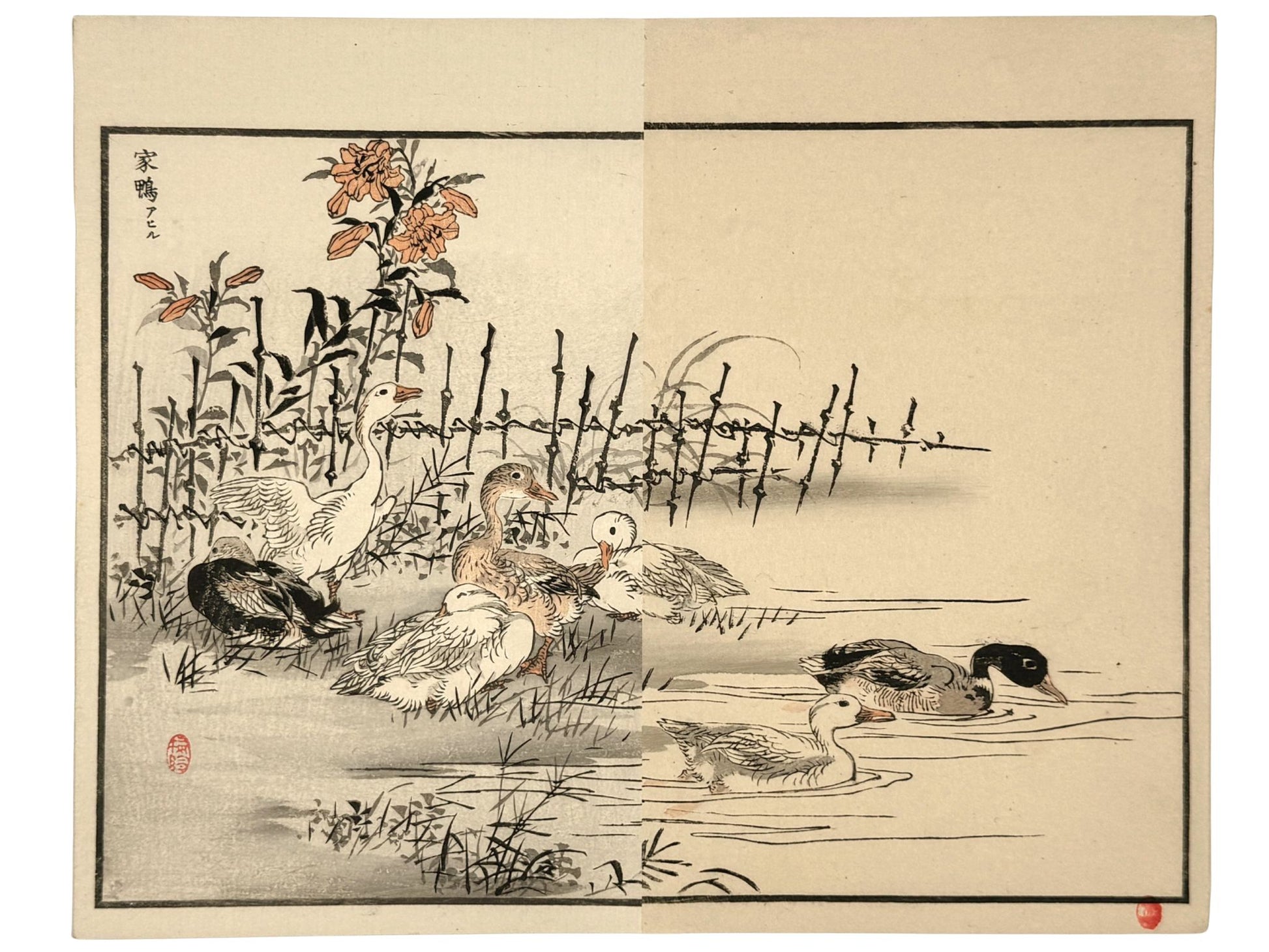 estampe japonaise encadrée de Kono Bairei, canards et oies au bord d'une mare. 