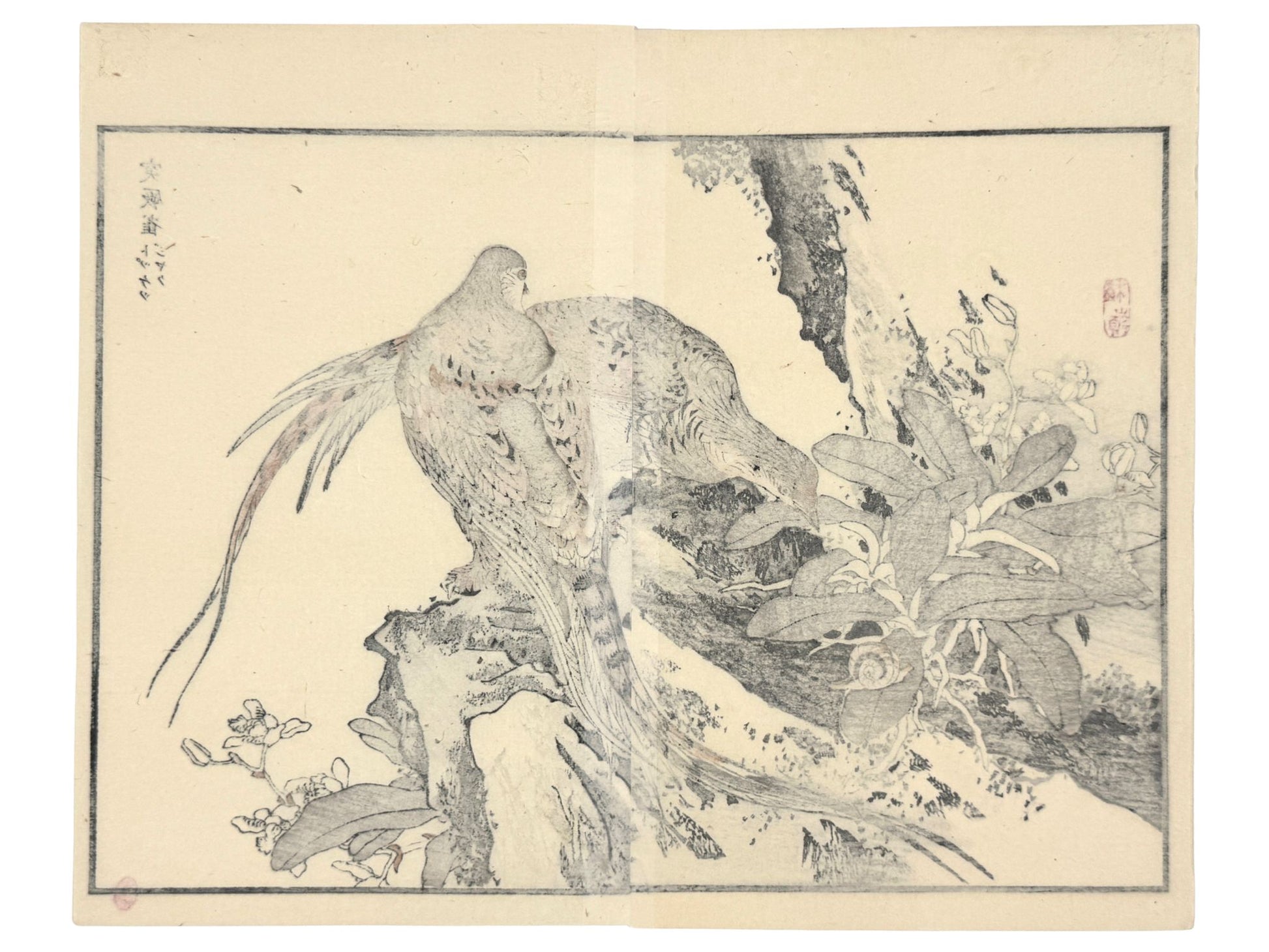 Estampe japonaise de Kōno Bairei montrant deux faisanes sur un rocher avec végétation, et un escargot dans un style naturaliste de l’époque Meiji. Dos estampe.