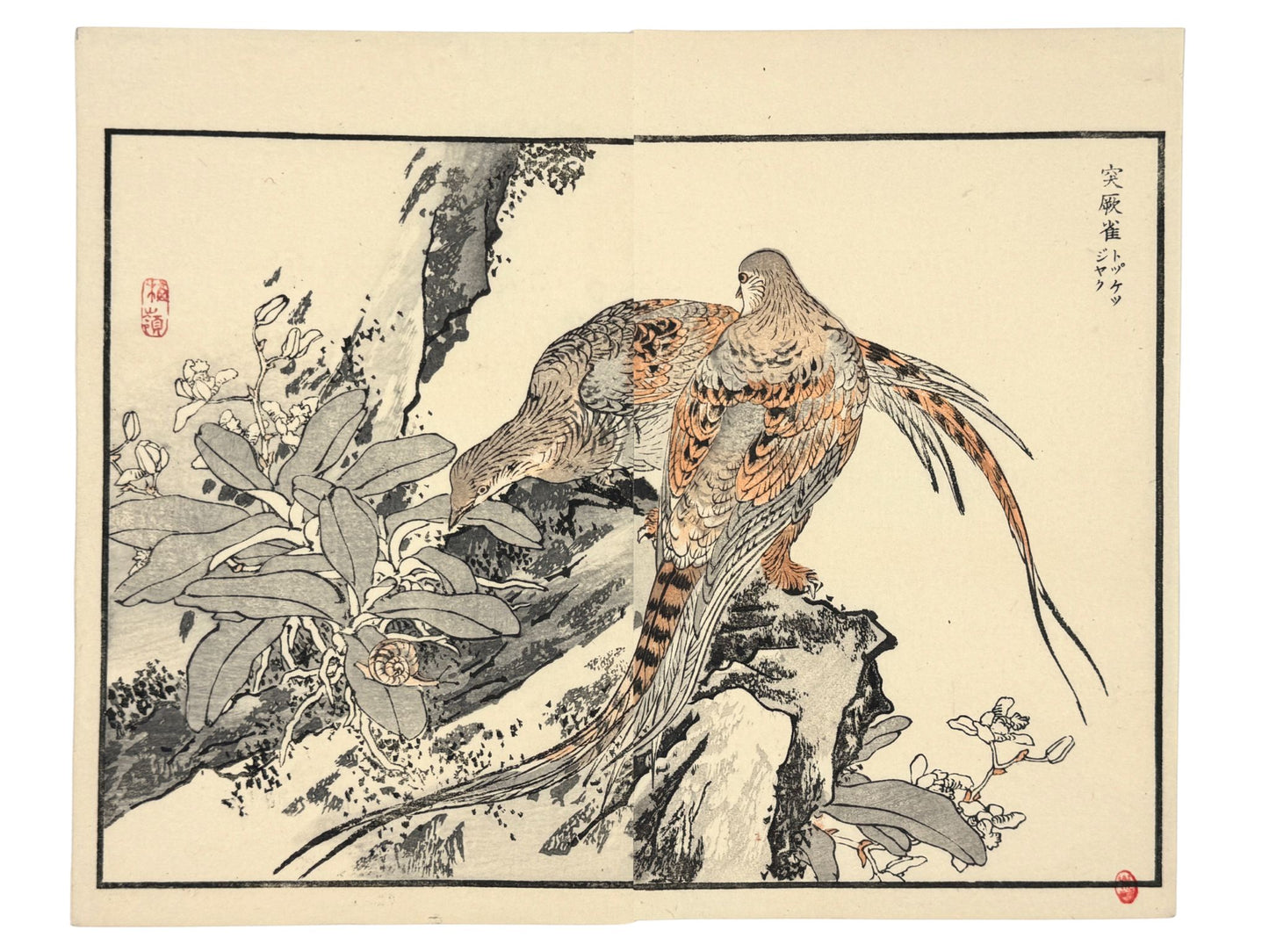 Estampe japonaise de Kōno Bairei montrant deux faisanes sur un rocher avec végétation, et un escargot dans un style naturaliste de l’époque Meiji.