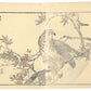 Estampe japonaise de Kono Bairei représentant un faucon avec un moineau entre ses serres sur une branche d’érable verso