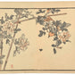 Estampe japonaise de Kono Bairei montrant un rossignol rouge akahigé sur une rose trémière