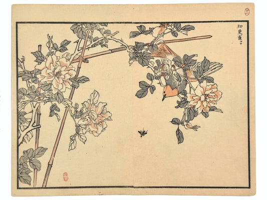 Estampe japonaise de Kono Bairei montrant un rossignol rouge akahigé sur une rose trémière