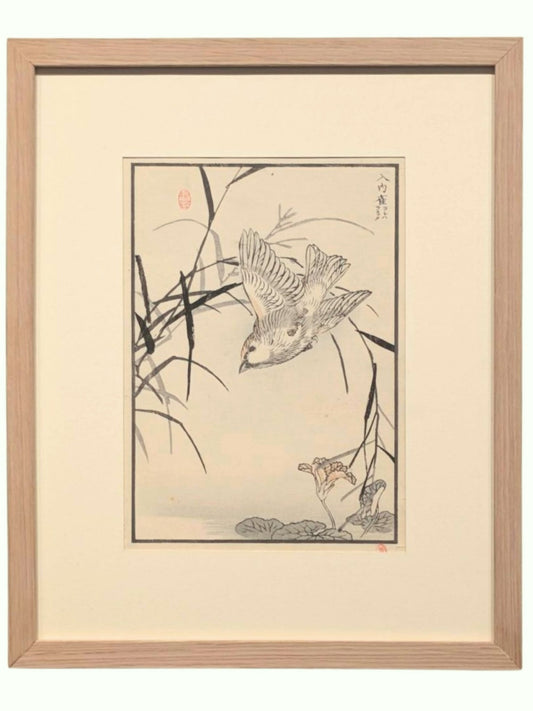 Un moineau aux ailes déployées plonge parmi des tiges de roseaux et des fleurs aquatiques, dans une estampe japonaise issue de l’Album des cent oiseaux de Kōno Bairei, encadrée avec un cadre en chêne.