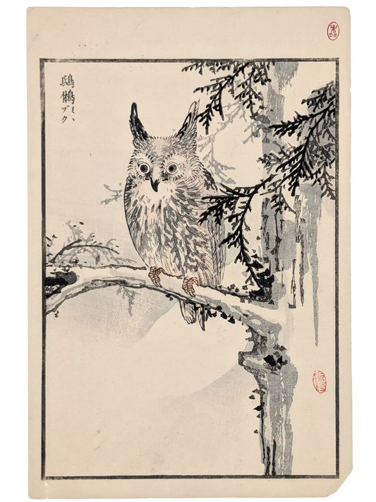 Estampe japonaise représentant un hibou sur une branche de pin, par Kōno Bairei