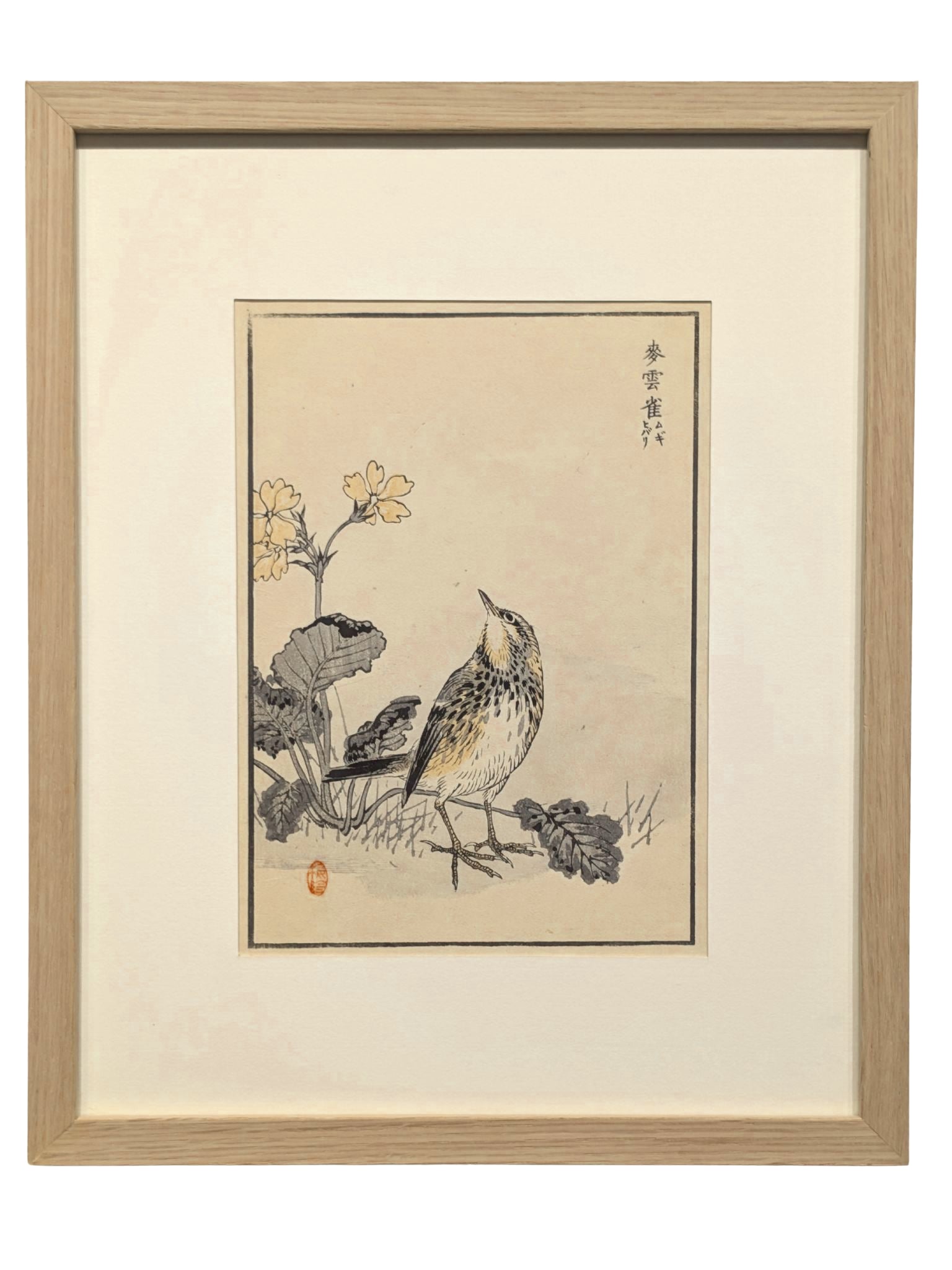 Estampe Japonaise encadrée de Kōno Bairei issue de l’Album des cent oiseaux, représentant une alouette des champs dressée parmi des fleurs printanières, avec un cadre en chêne.