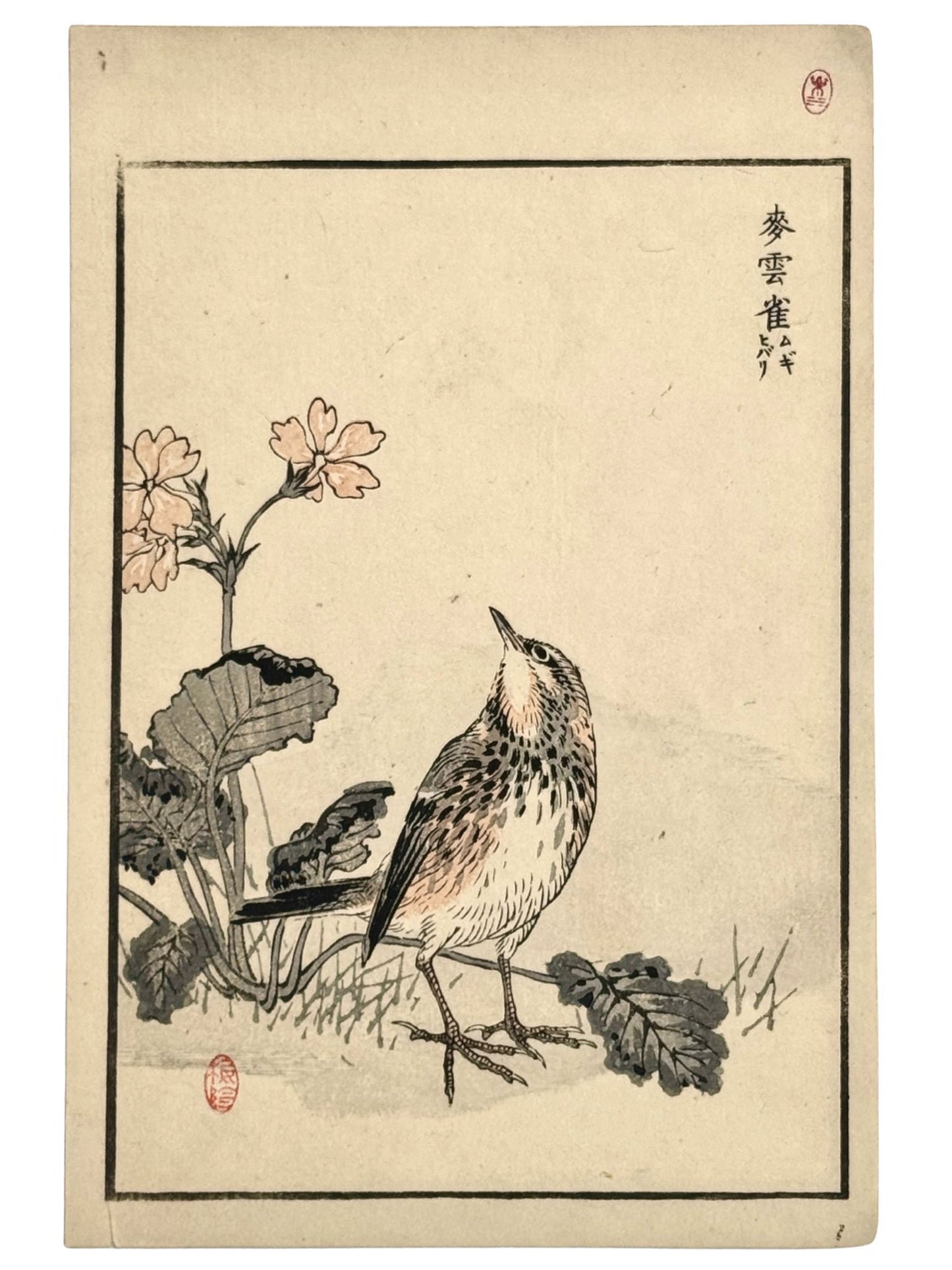 Estampe Japonaise de Kōno Bairei issue de l’Album des cent oiseaux, représentant une alouette des champs dressée parmi des fleurs printanières
