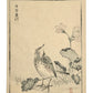 Estampe Japonaise de Kōno Bairei issue de l’Album des cent oiseaux, représentant une alouette des champs dressée parmi des fleurs printanières, le verso de l'estampe.