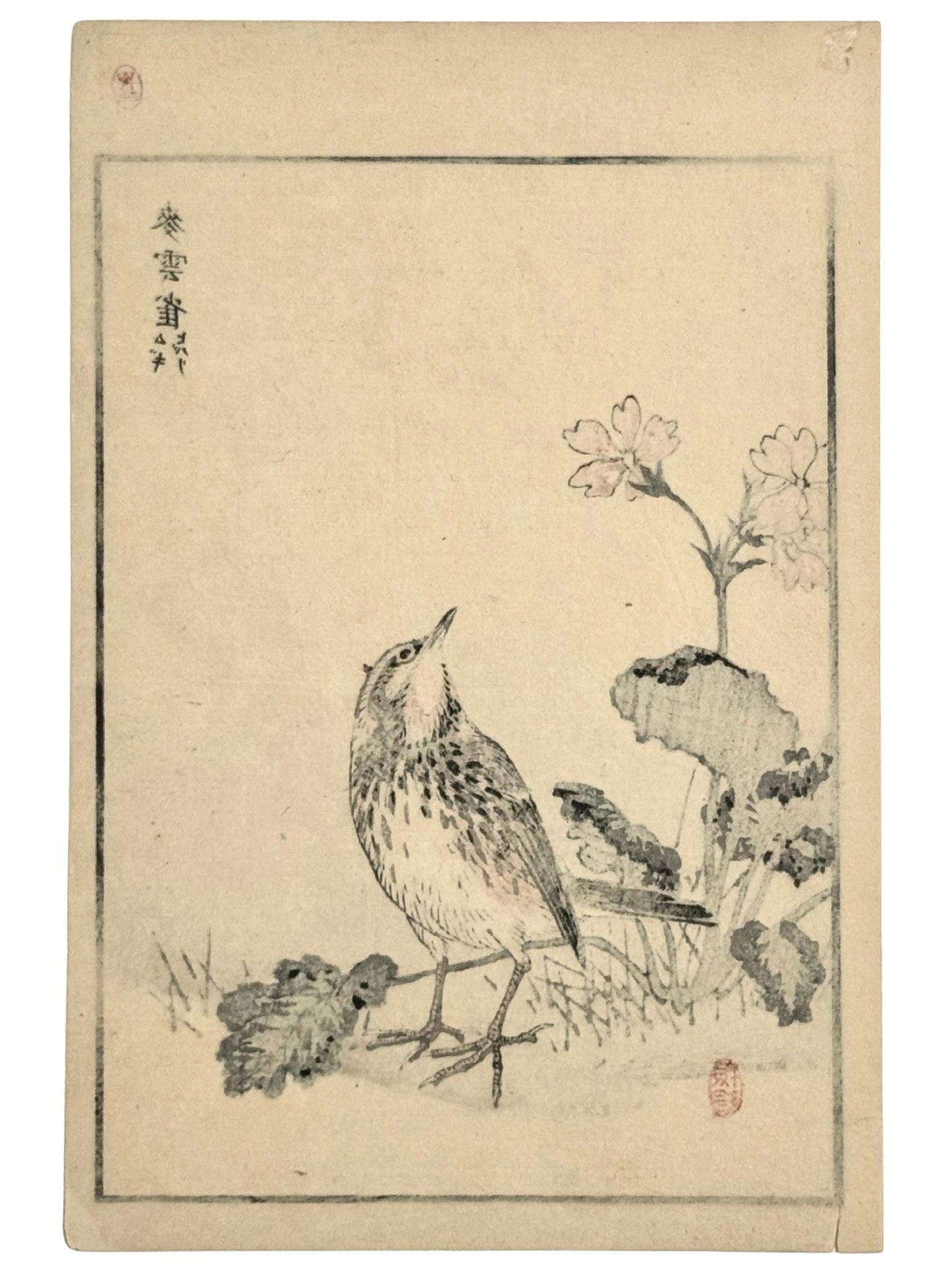 Estampe Japonaise de Kōno Bairei issue de l’Album des cent oiseaux, représentant une alouette des champs dressée parmi des fleurs printanières, le verso de l'estampe.