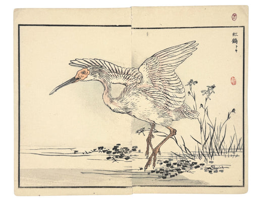 Estampe japonaise de Kono Bairei ibis nippon ailes déployées