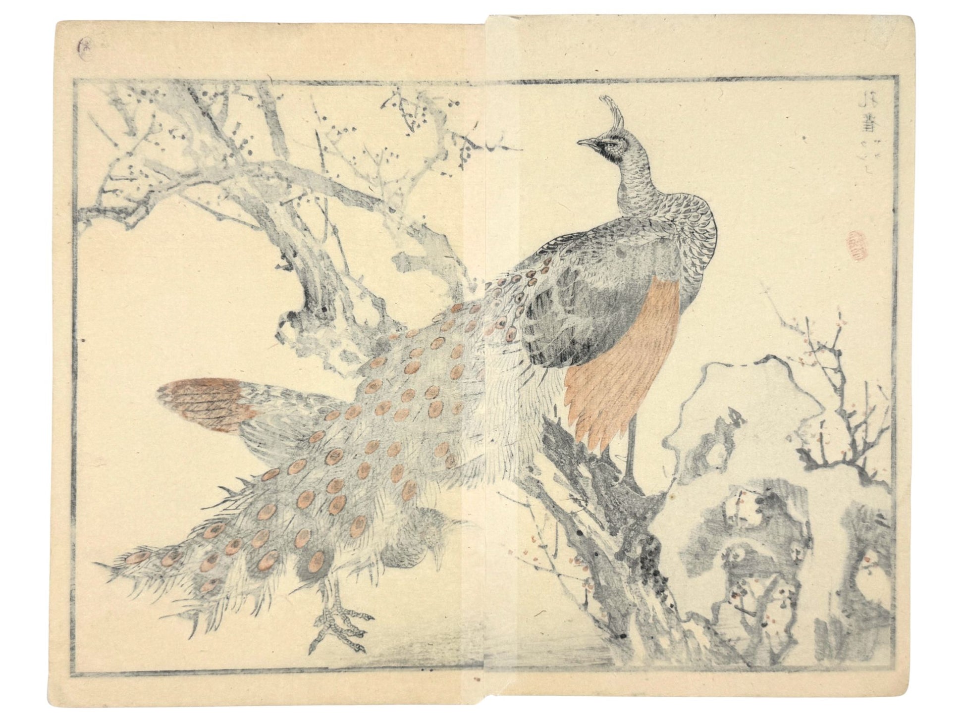 Estampe japonaise Bairei couple de pâon perchés en hiver, le verso