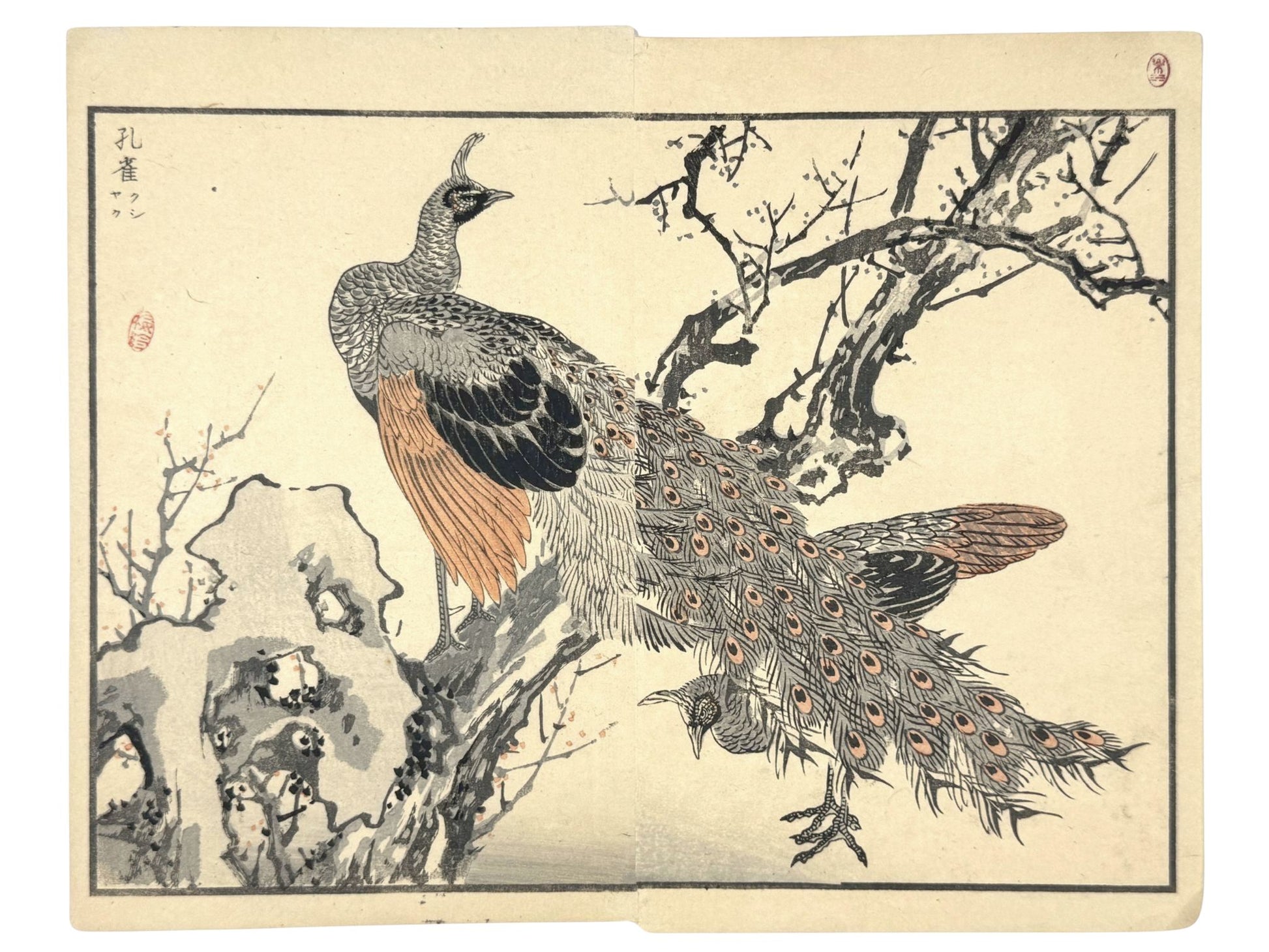 Estampe japonaise Bairei couple de paons perchés en hiver