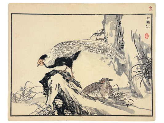 Estampe Japonaise de Kono Bairei représentant un couple de faisans argentés sur des branches noueuses