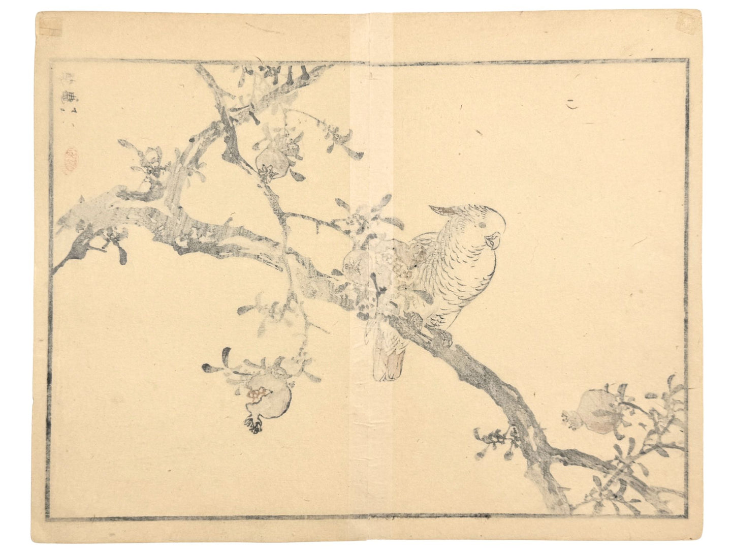 Estampe Japonaise de Kono Bairei représentant un cacatoès sur un grenadier verso