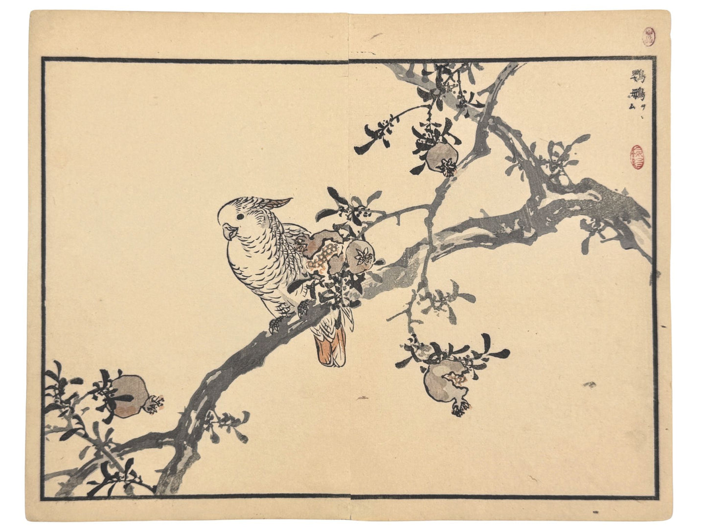 Estampe Japonaise de Kono Bairei représentant un cacatoès sur un grenadier