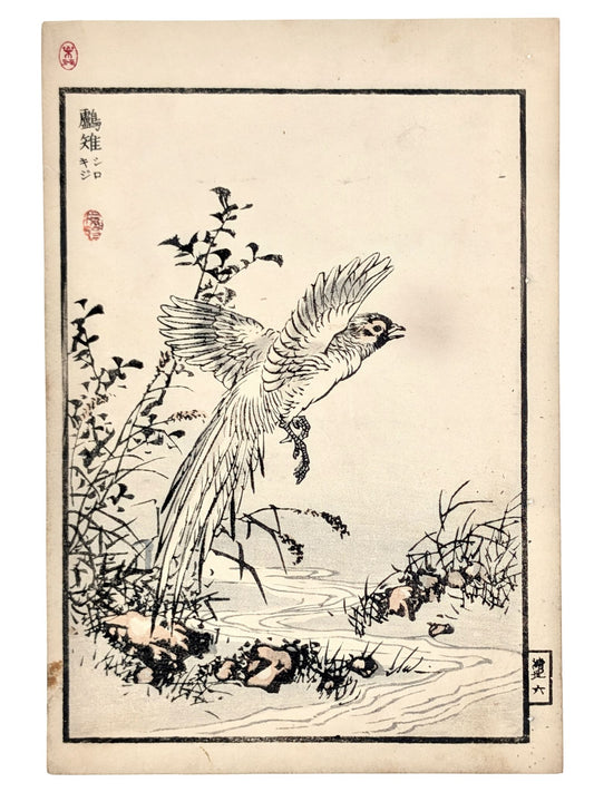 Estampe japonaise d’un faisan blanc en vol au-dessus de l'eau par Kōno Bairei