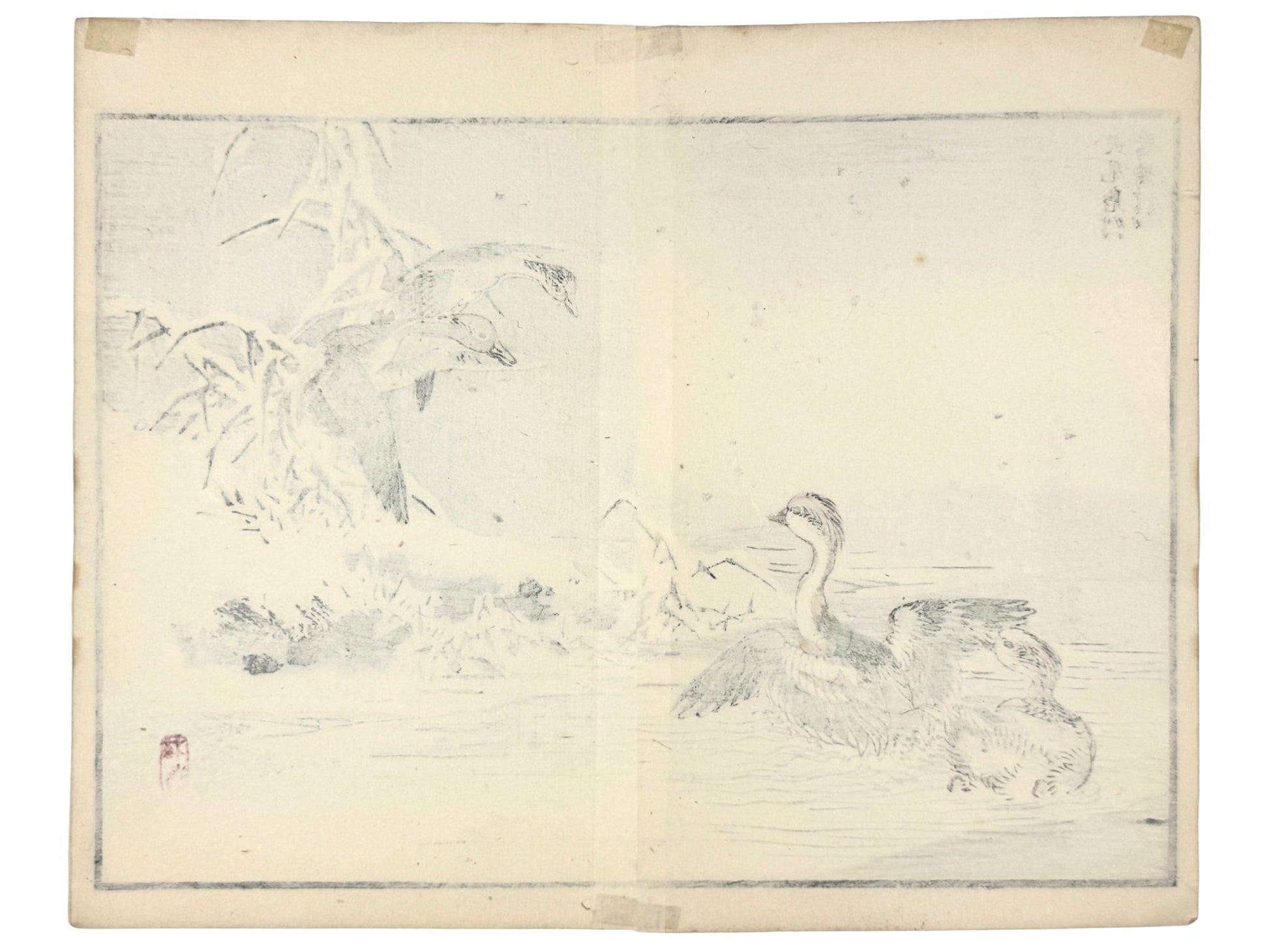 Estampe Japonaise de Kono Bairei avec canards mandarins et fuligules milouinans dans la neige verso