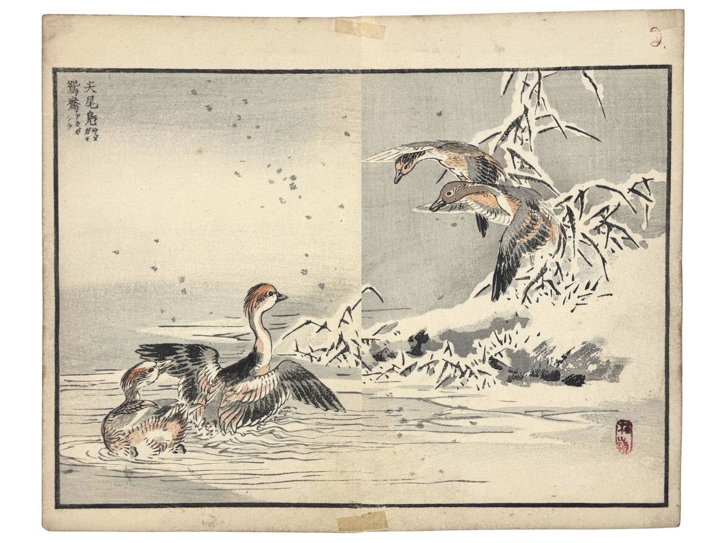 Estampe Japonaise de Kono Bairei avec canards mandarins et fuligules milouinans dans la neige