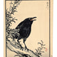Estampe japonaise de Kono Bairei d'un choucas noir le bec ouvert sur branche