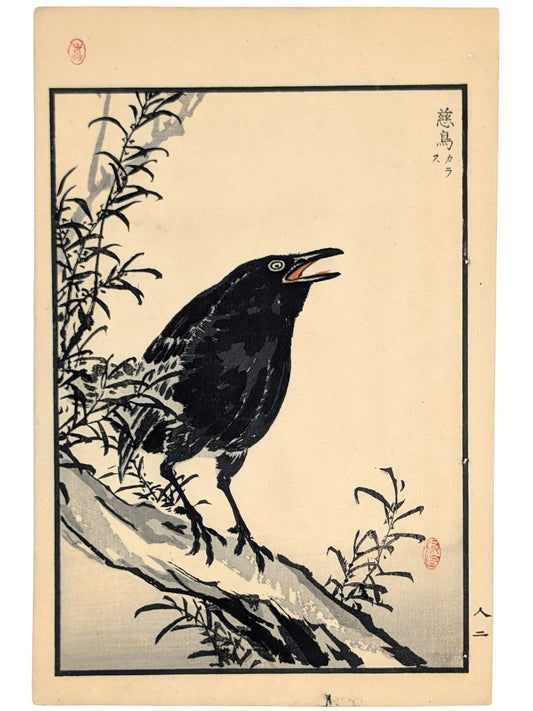 Estampe japonaise de Kono Bairei d'un choucas noir le bec ouvert sur branche
