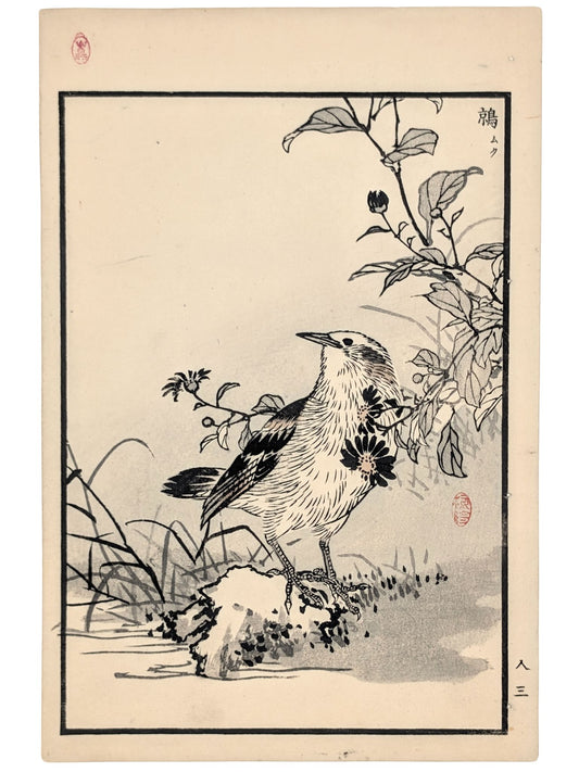 Estampe japonaise de Kono Bairei d'un étourneau gris au bord de l’eau avec fleurs