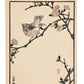 Estampe japonaise de Kono Bairei d'un troglodyte sur branche avec fleurs de printemps