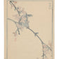 Estampe Japonaise de Kono Bairei, moineau sur une branche en fleurs verso
