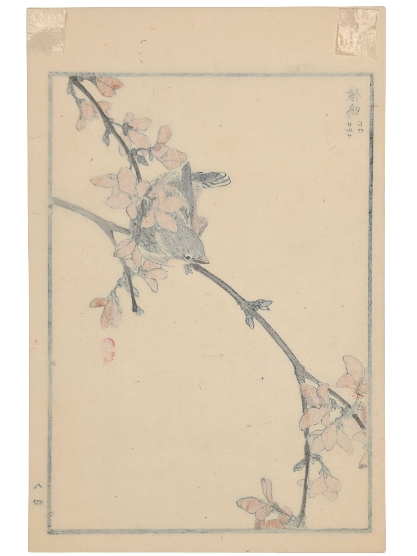 Estampe Japonaise de Kono Bairei, moineau sur une branche en fleurs verso