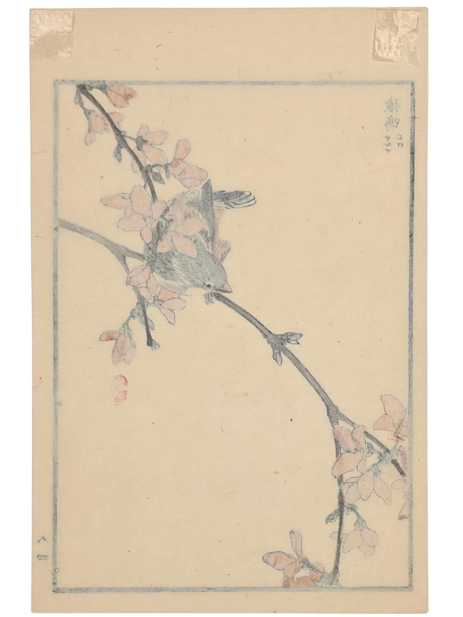 Estampe Japonaise de Kono Bairei, moineau sur une branche en fleurs verso