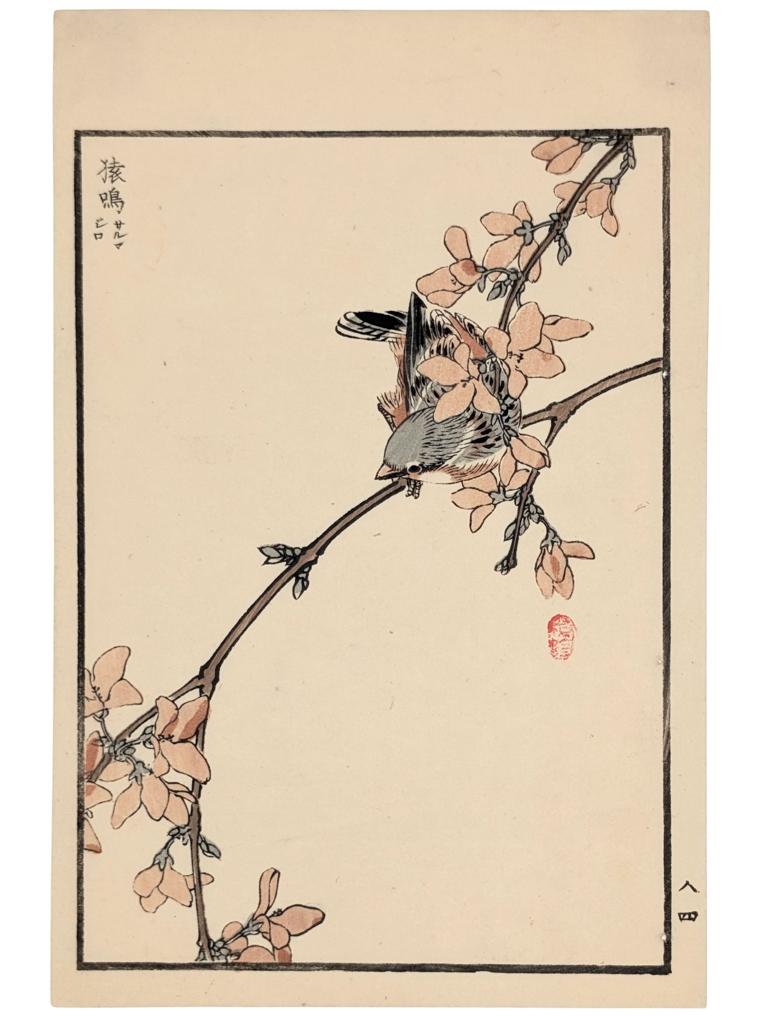Estampe Japonaise de Kono Bairei, moineau sur une branche en fleurs