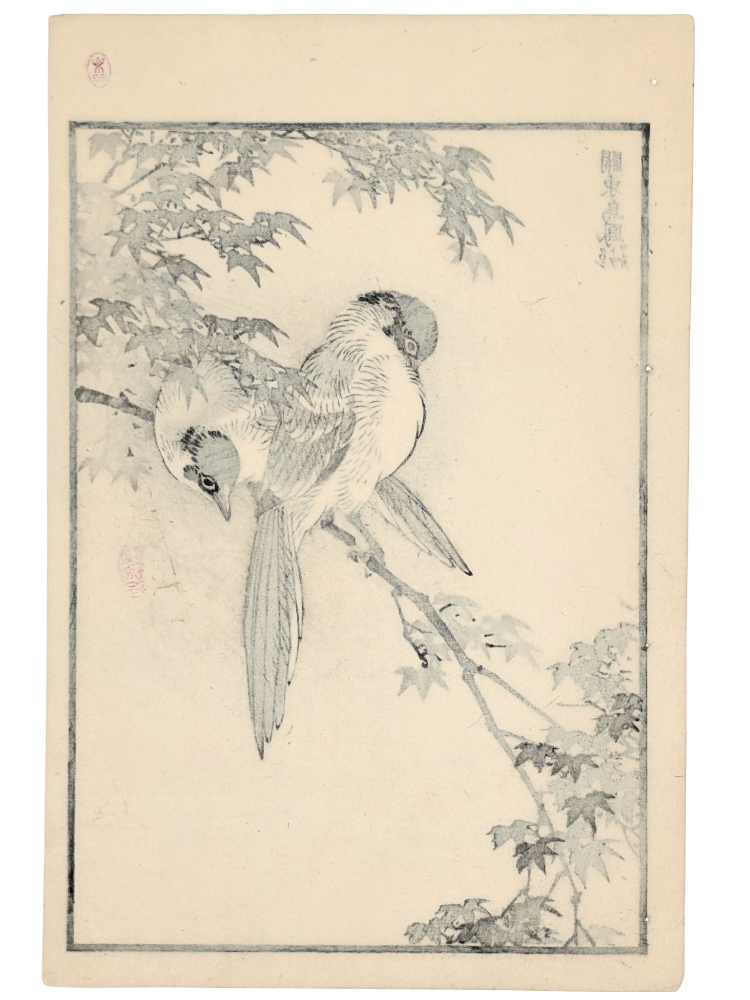 Estampe Japonaise de Kono Bairei, deux pies bleues sur une branche d’érable verso