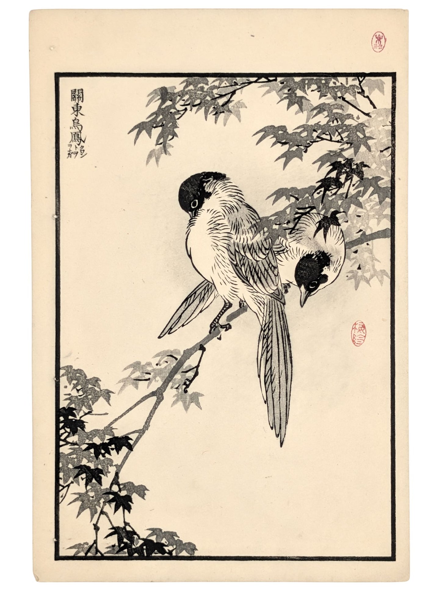 Estampe Japonaise de Kono Bairei, deux pies bleues sur une branche d’érable