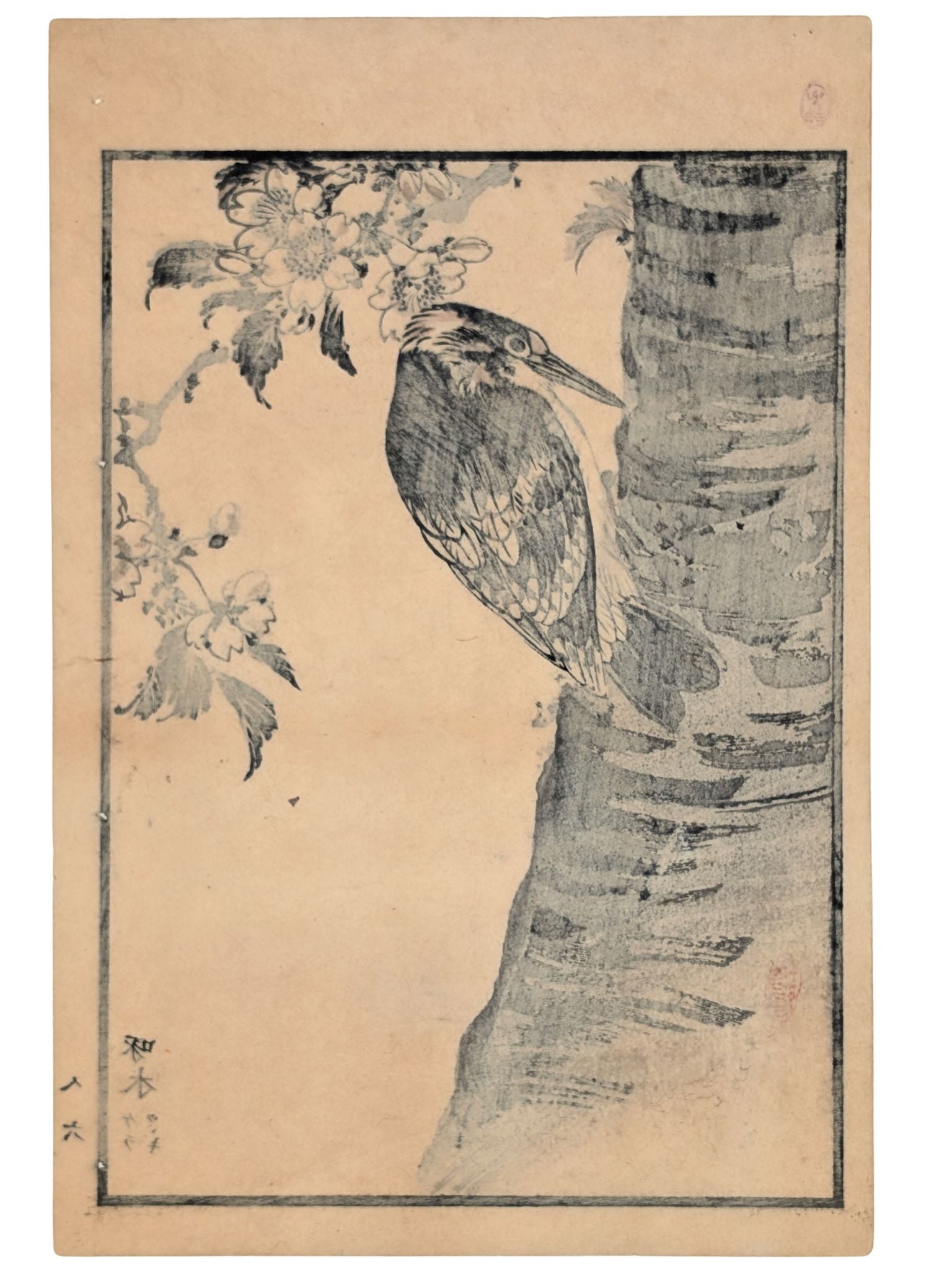 Estampe Japonaise de Kono Bairei d’un pic à dos sur un tronc d'arbre en fleurs verso