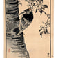 Estampe Japonaise de Kono Bairei d’un pic à dos sur un tronc d'arbre en fleurs