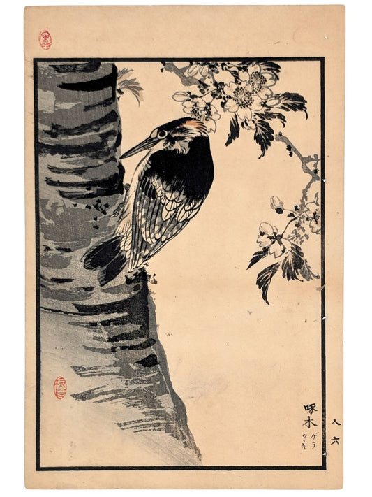 Estampe Japonaise de Kono Bairei d’un pic à dos sur un tronc d'arbre en fleurs