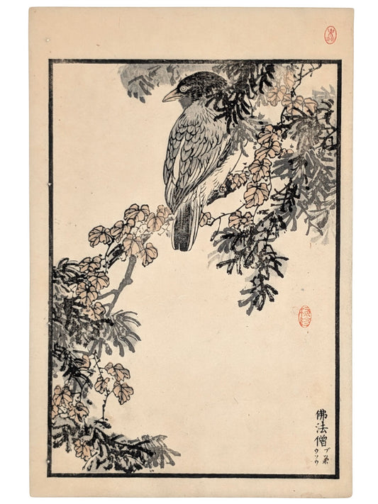 Estampe Japonaise de Kono Bairei d’un rolle oriental sur unr branche de conifère
