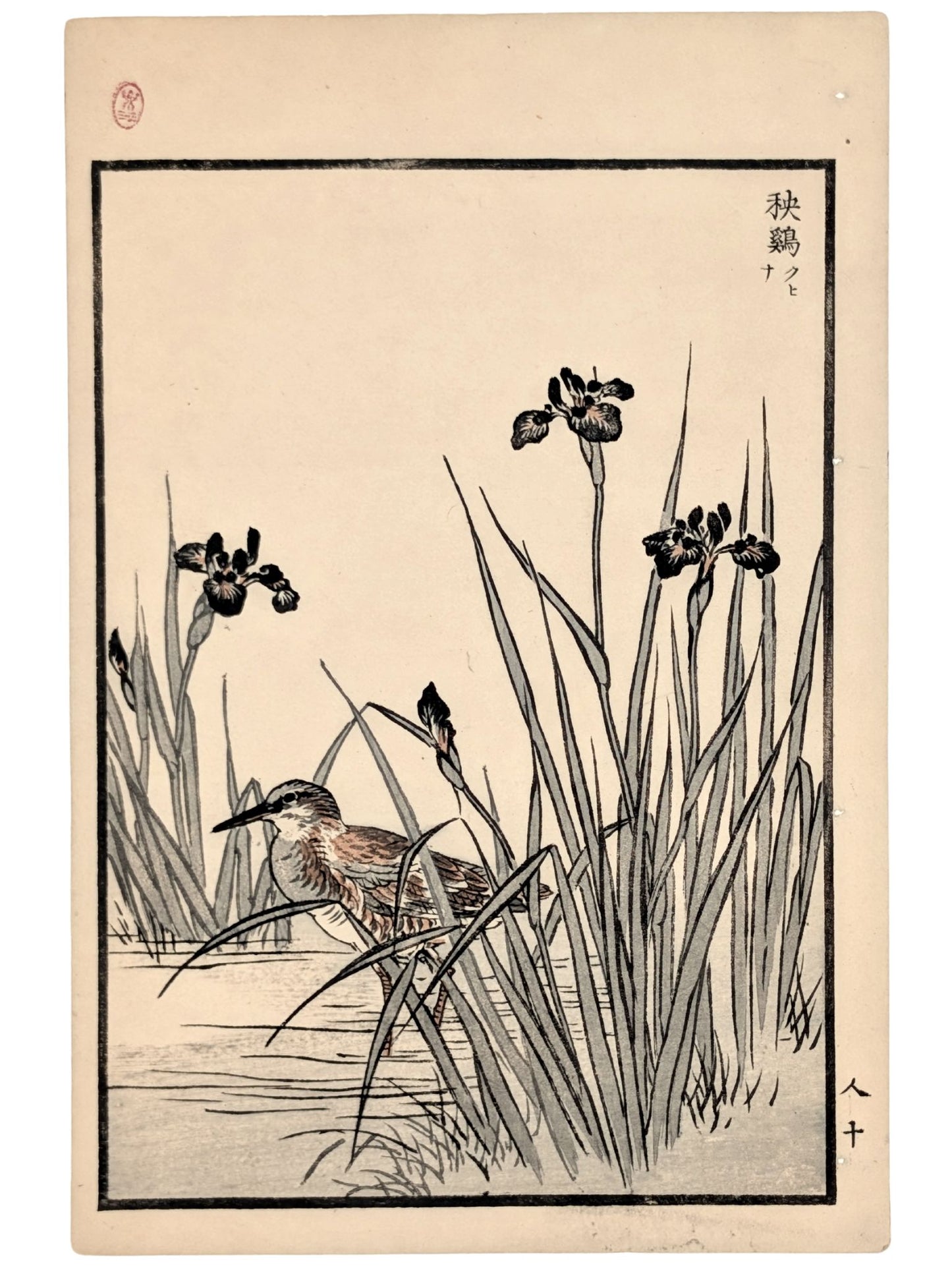 Estampe Japonaise par Kono Bairei d’un râle d’eau dissimulé parmi les iris en bord d’étang