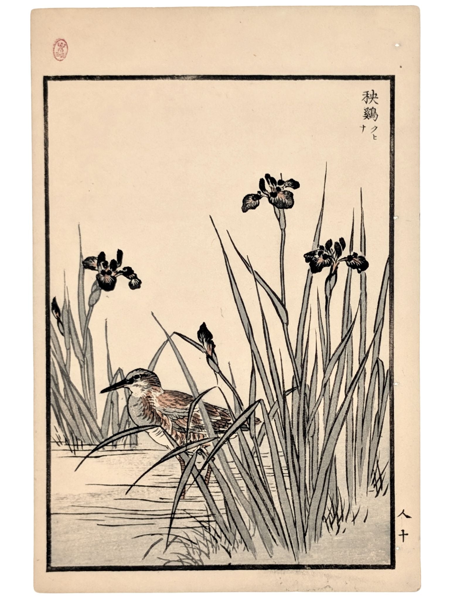 Estampe Japonaise par Kono Bairei d’un râle d’eau dissimulé parmi les iris en bord d’étang