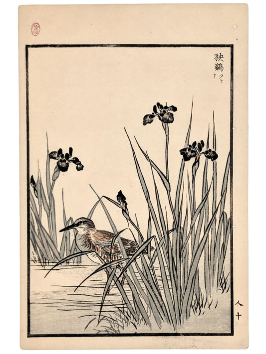 Estampe Japonaise par Kono Bairei d’un râle d’eau dissimulé parmi les iris en bord d’étang