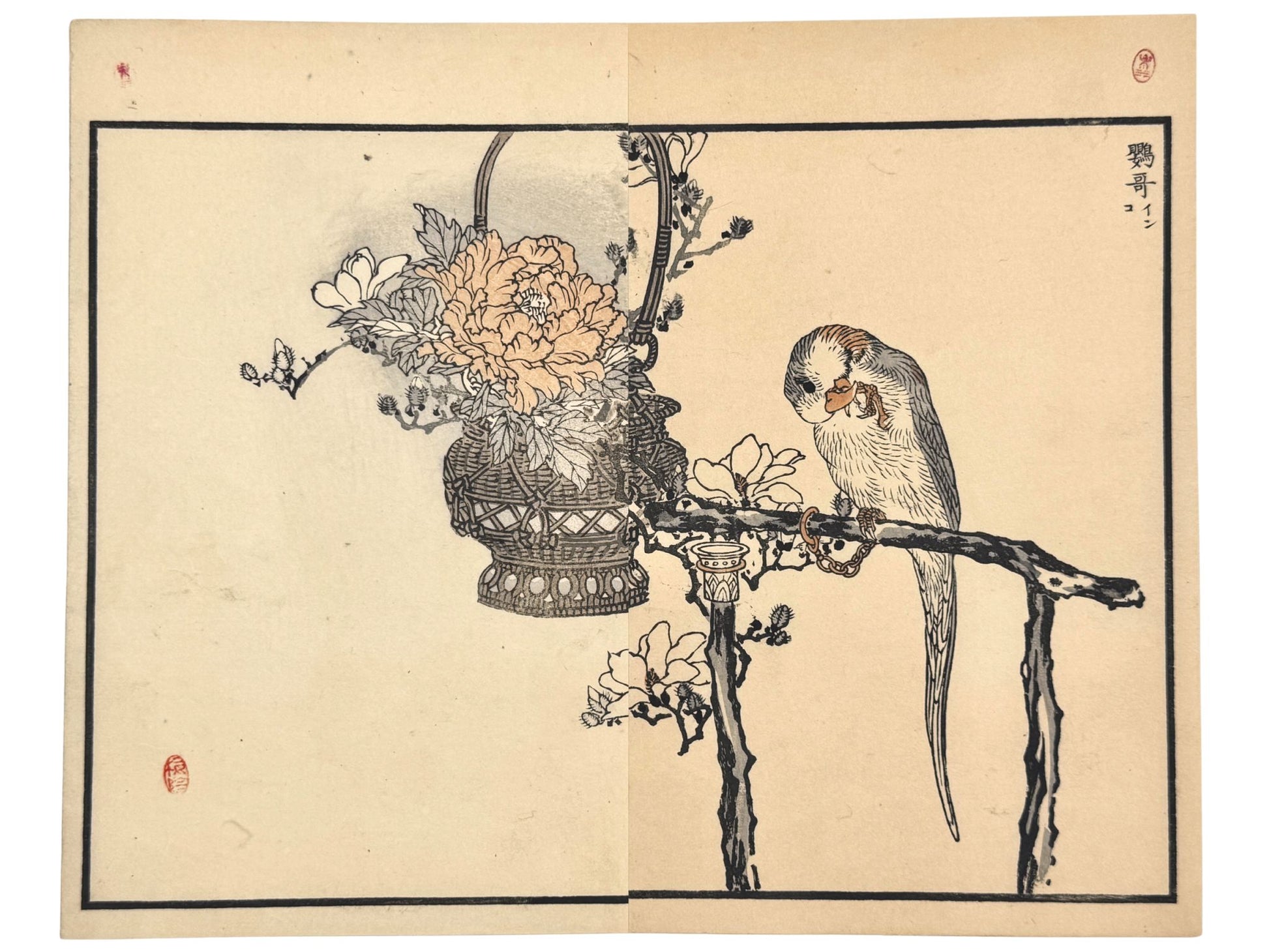 Estampe Japonaise de Kono Bairei d’un perroquet sur un magnolia avec une pivoine