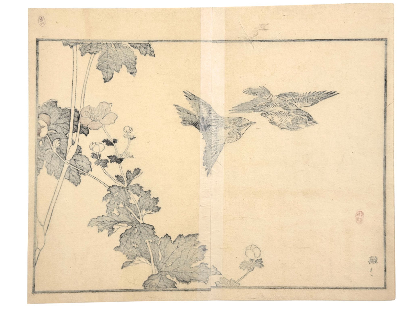 Estampe Japonaise avec deux tarins des aulnes en vol et anémone du Japon par Kono Bairei verso