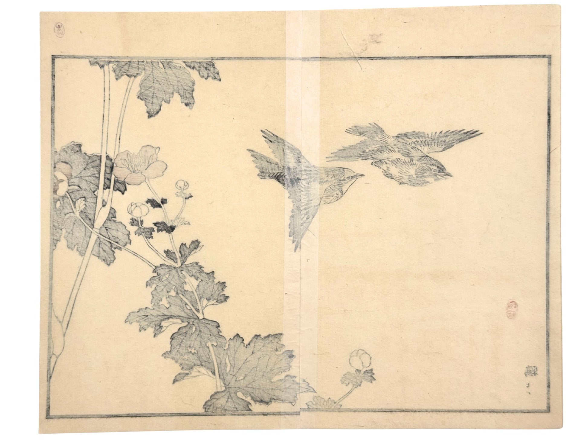 Estampe Japonaise avec deux tarins des aulnes en vol et anémone du Japon par Kono Bairei verso