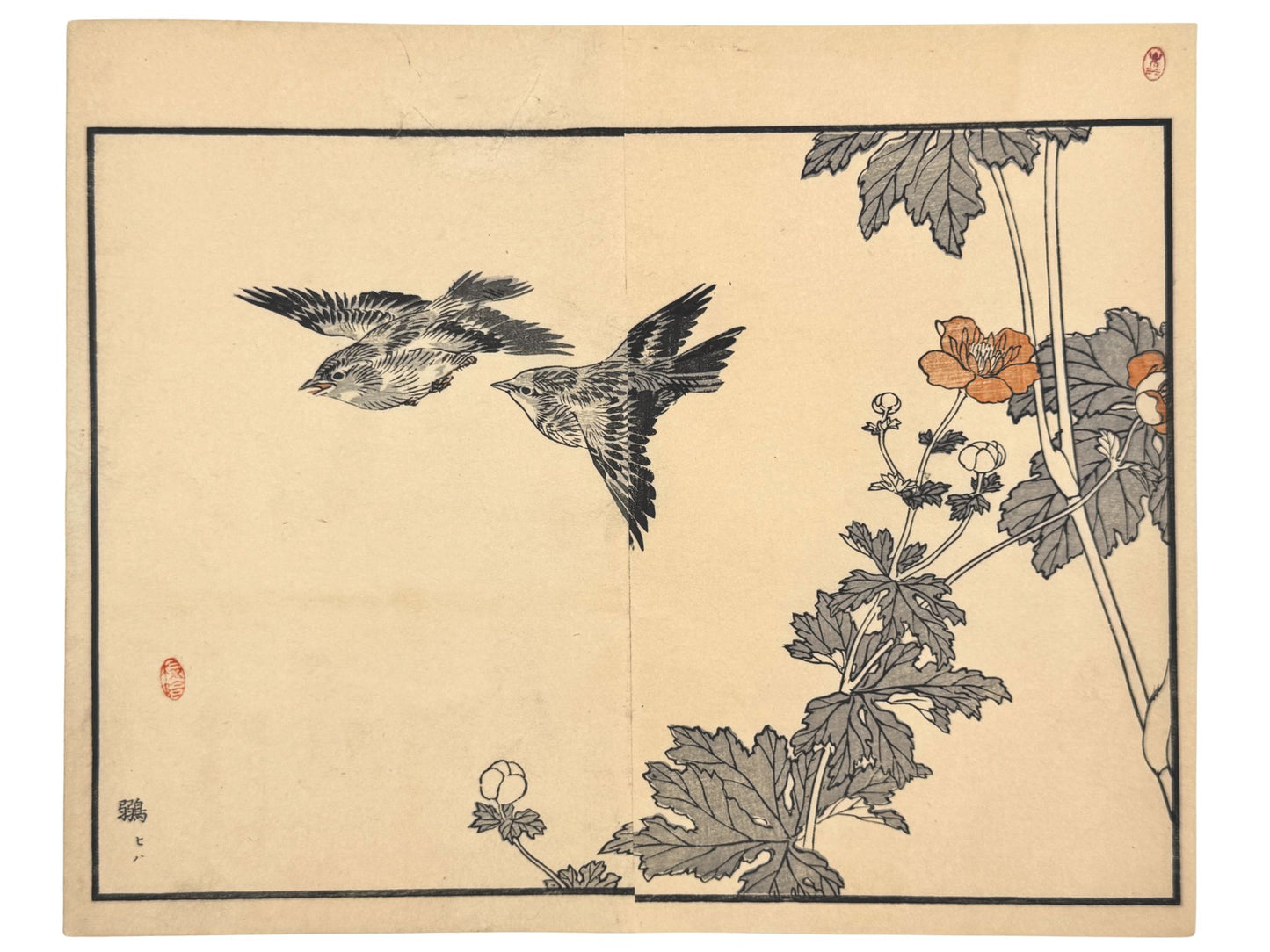 Estampe Japonaise avec deux tarins des aulnes en vol et anémone du Japon par Kono Bairei