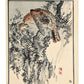 Estampe Japonaise par Kono Bairei d’un balbuzard pêcheur tenant un poisson dans son bec sur une falaise